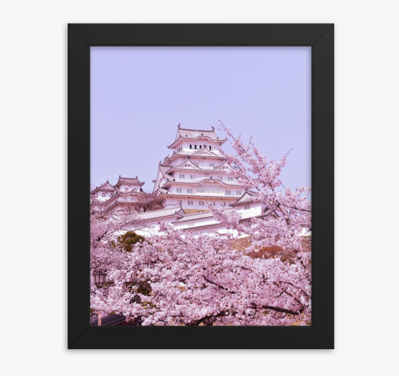 Himeji Castle With Cherry Blossoms - Picture Frame, transparent png #9376309