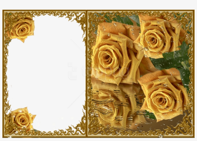 Free Png Best Stock Photos Transparent Yellow Roses - Roses Frame In Png, transparent png #9377470