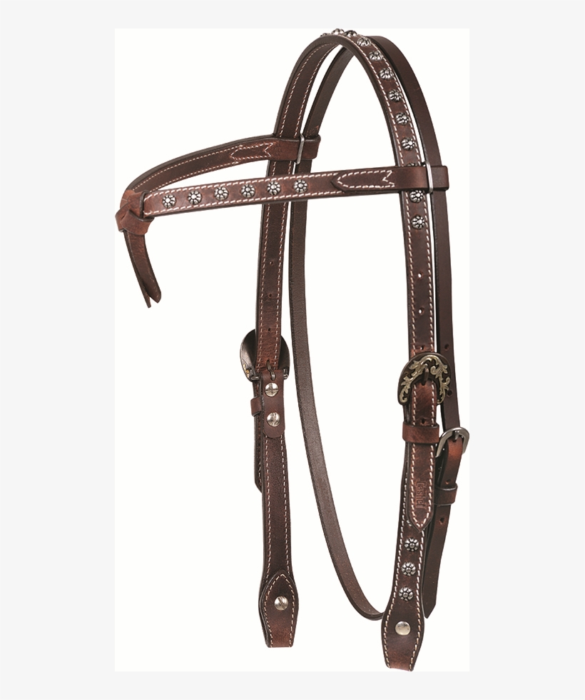Antiqued Dotted Headstall - Halter, transparent png #9377661