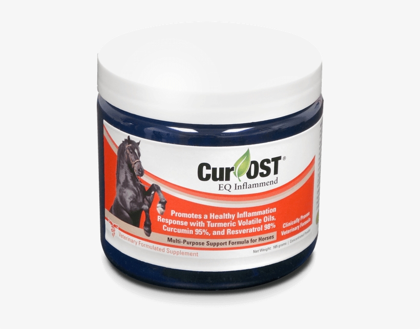 Cur-ost Eq Inflammend - Stallion, transparent png #9378017