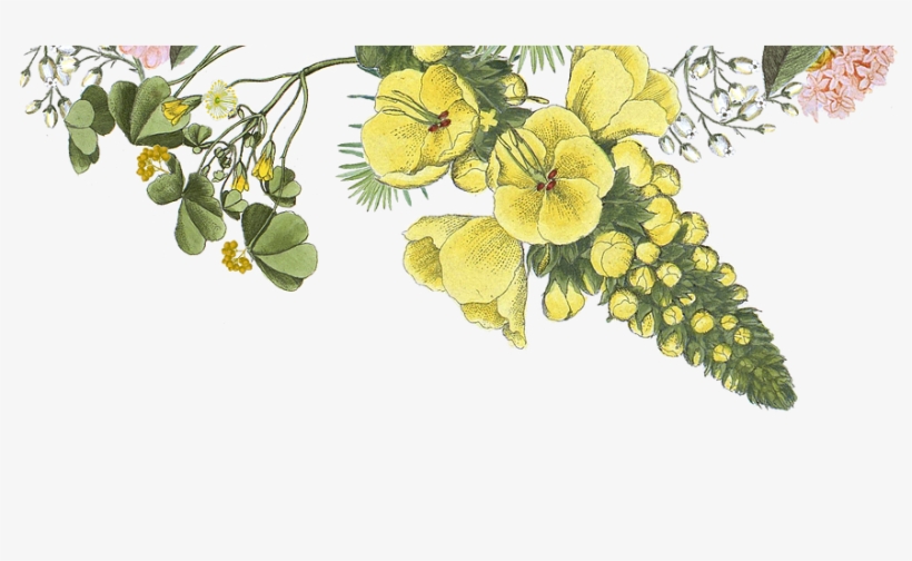 Receiving Flowers Has Been Proven To Increase Happiness, - Wig, transparent png #9378391