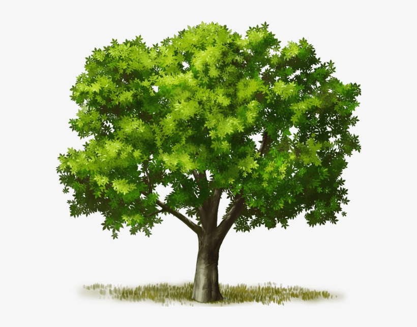 Big Green Giantstable Living Mahogany Pasturestable - Swamp Maple, transparent png #9378428