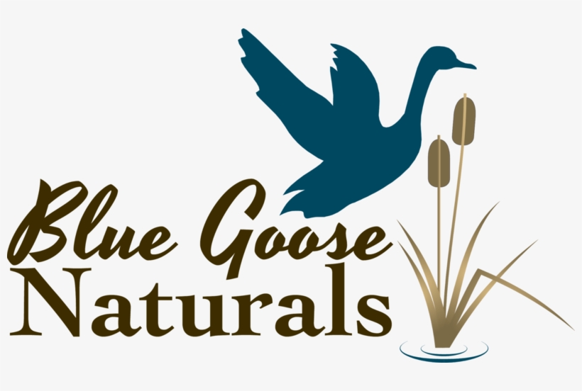 Aloe Pluspng - Com - Justice At Stake, transparent png #9378651