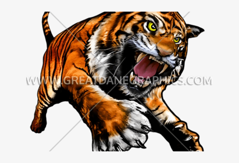 White Tiger Clipart Full Body - Bengal Tiger, transparent png #9382063