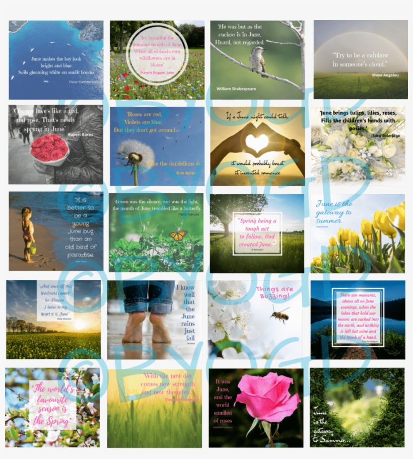 June Social Media Quotes Memes - Flyer, transparent png #9382285