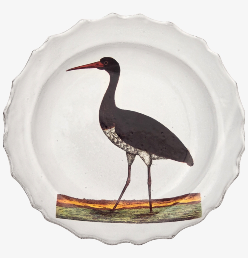 Stork, transparent png #9383248