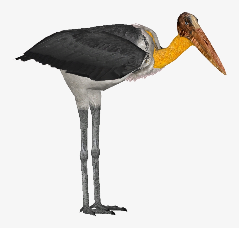 And Lesser Adjutant - Zt2 Lesser Adjutant, transparent png #9383322