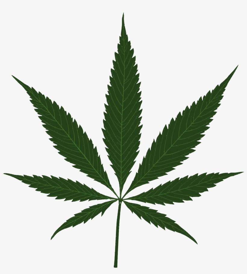 Sunshine Cannabis Leaf - Cannabis Leaf, transparent png #9383544