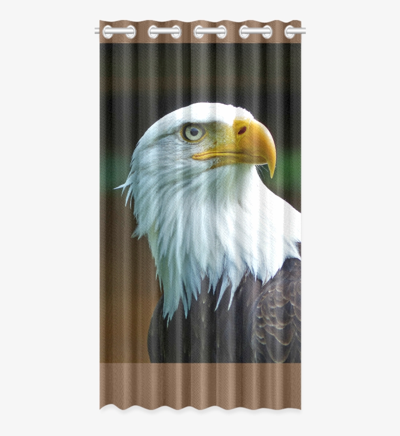 Bald Eagle Head 001 - Bald Eagle, transparent png #9384983