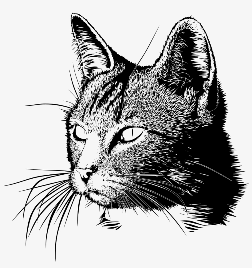 Download Png - Cat Head, transparent png #9385745
