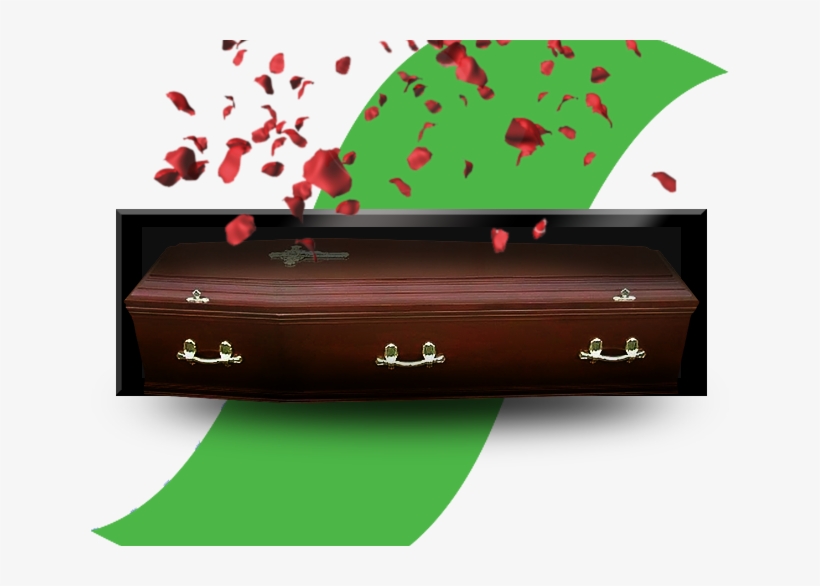 Crematoriums - Falling Rose Petals Transparent, transparent png #9385750