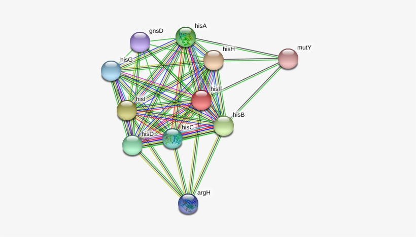 Circle, transparent png #9386031