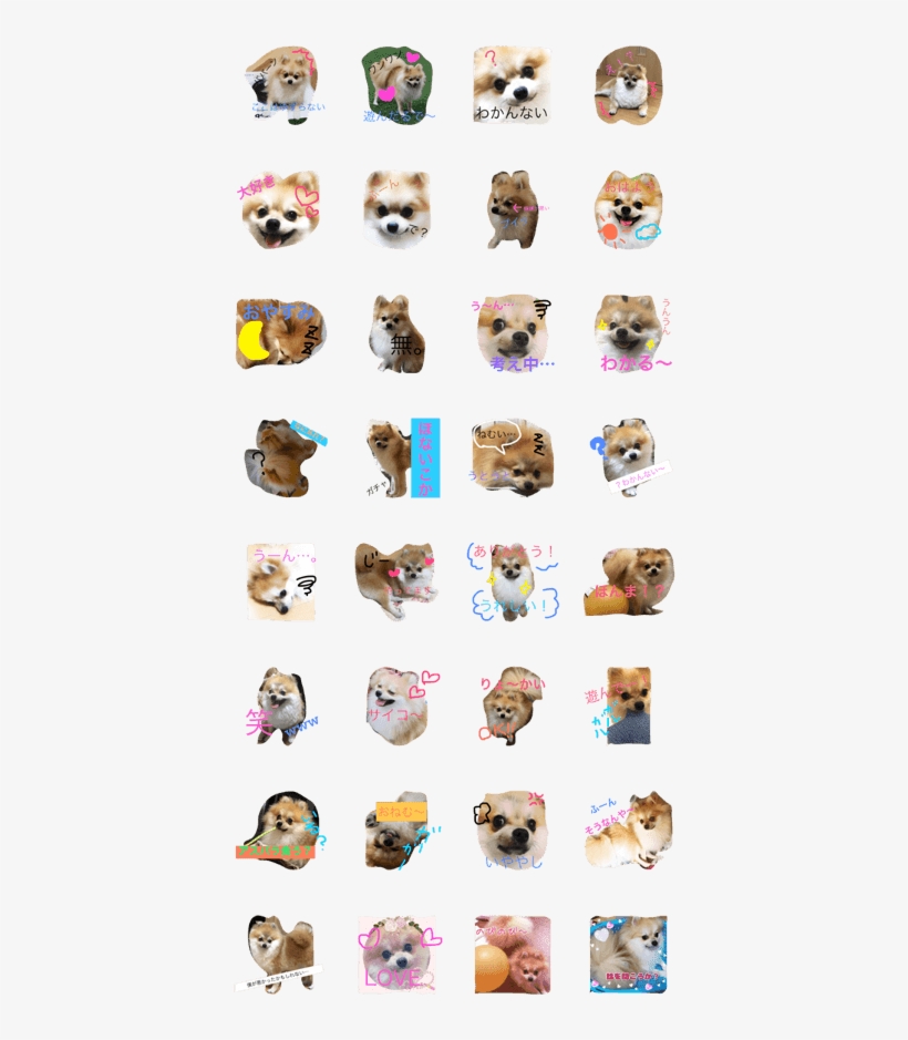 Pomeranian Syaron, transparent png #9386053