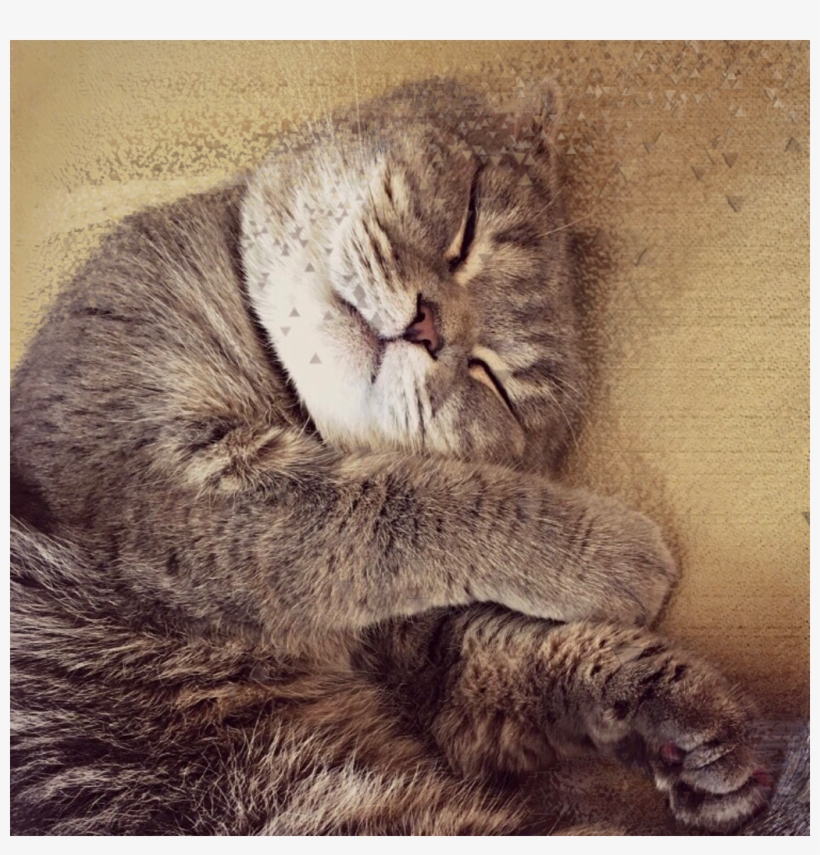 Cute Sticker, transparent png #9386317