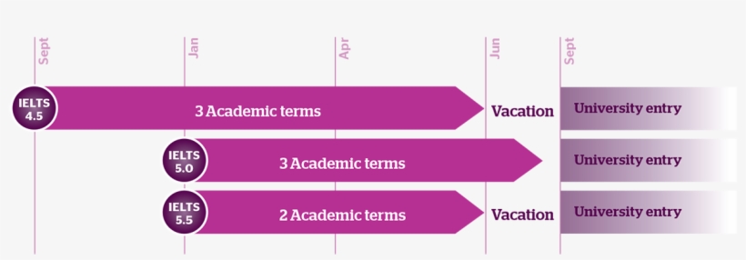 Sample Pathways For The International Business Foundation - Colorfulness, transparent png #9386704