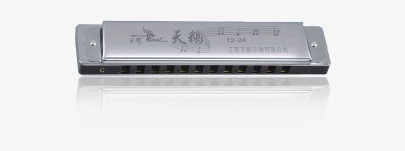 12 Hole 24 Tone C-tune Copper Reed Plate, Stainless - Microcontroller, transparent png #9387609