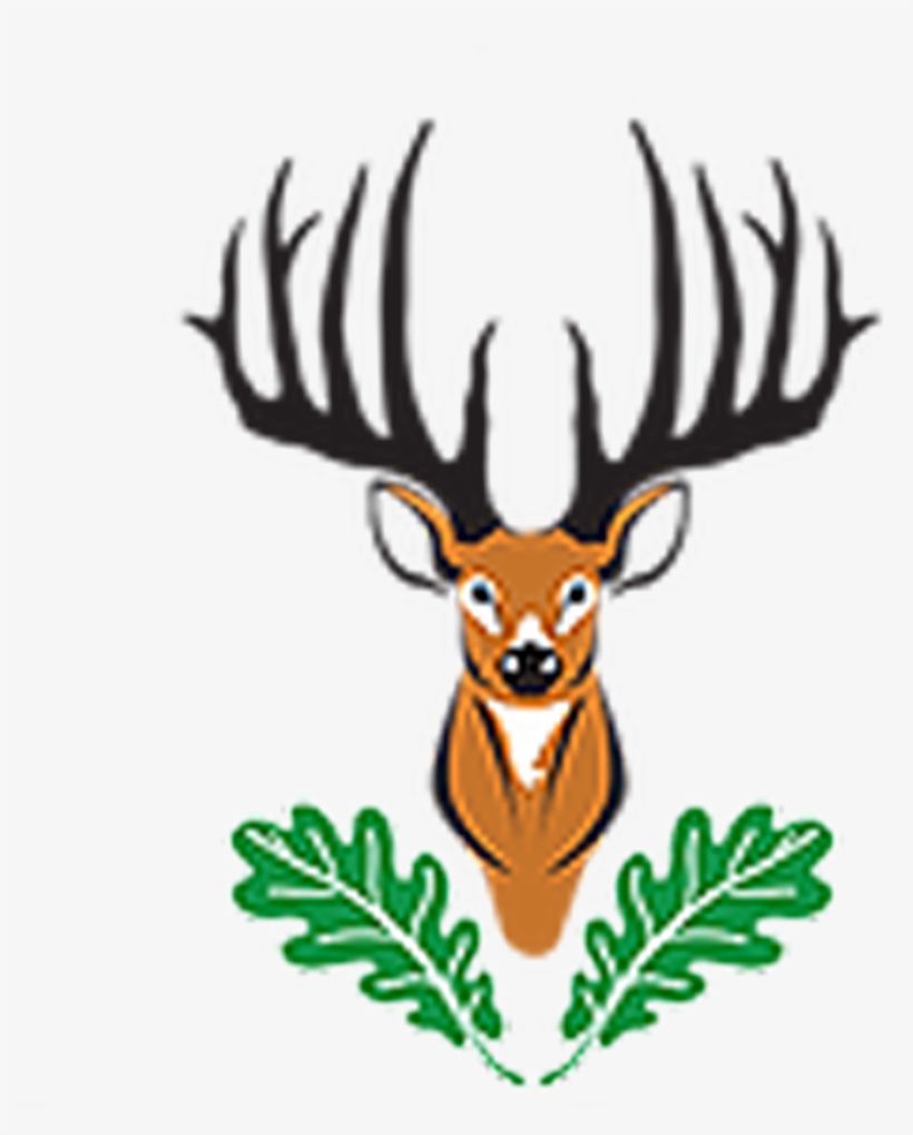 Elk, transparent png #9387610