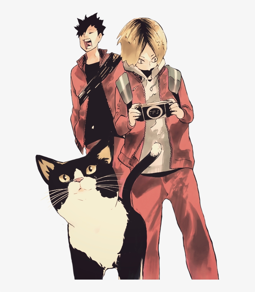 Haikyuu Transparent - Haikyuu Cat, transparent png #9388502