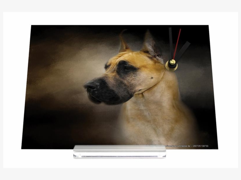 Great Dane, transparent png #9388952