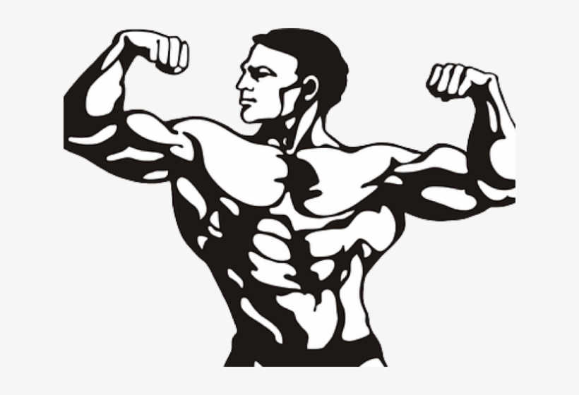 Curl Clipart Bicep - Bodybuilder Clipart Png, transparent png #9389686