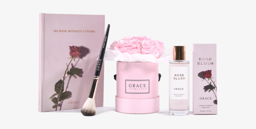 Christmas Candy - Garden Roses, transparent png #9389864