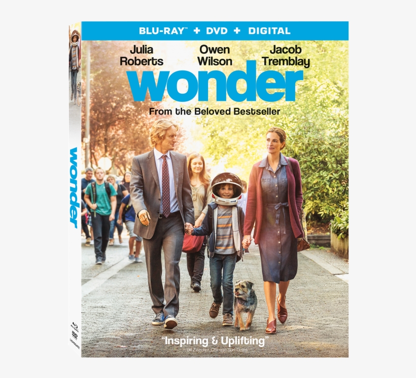 Wonder Home Entertainment - Wonder Dvd Blu Ray, transparent png #9390042
