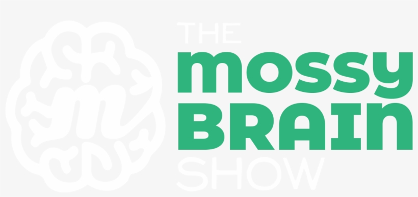 A Weekly Podcast Where Creativity Meets Fun - Banda Zimbra, transparent png #9390158
