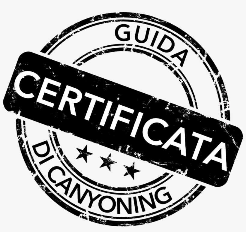Qualification - Emblem, transparent png #9394704