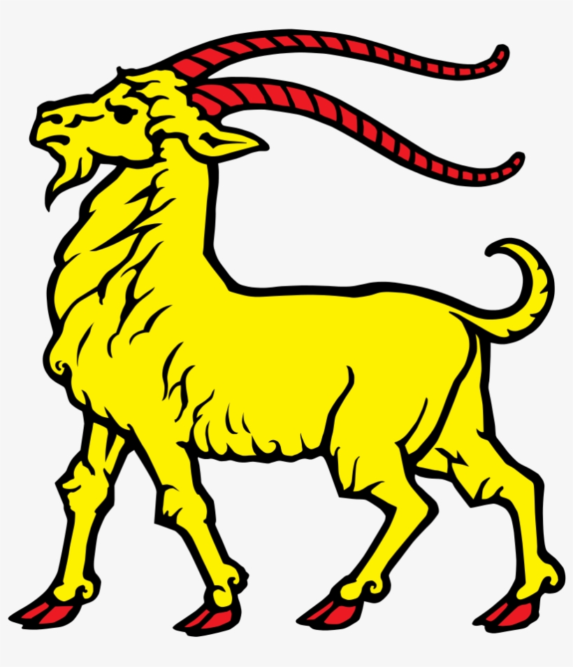 Plus That Is Just A Mean Looking Goat - Istria County, transparent png #9395139