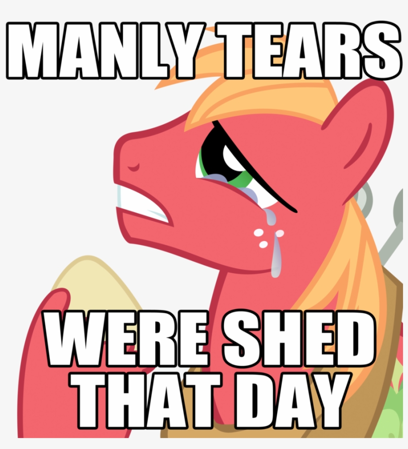 Big Macintosh, Crying, Earth Pony, Image Macro, Male, - Just Got Real Daffy Duck, transparent png #9395576