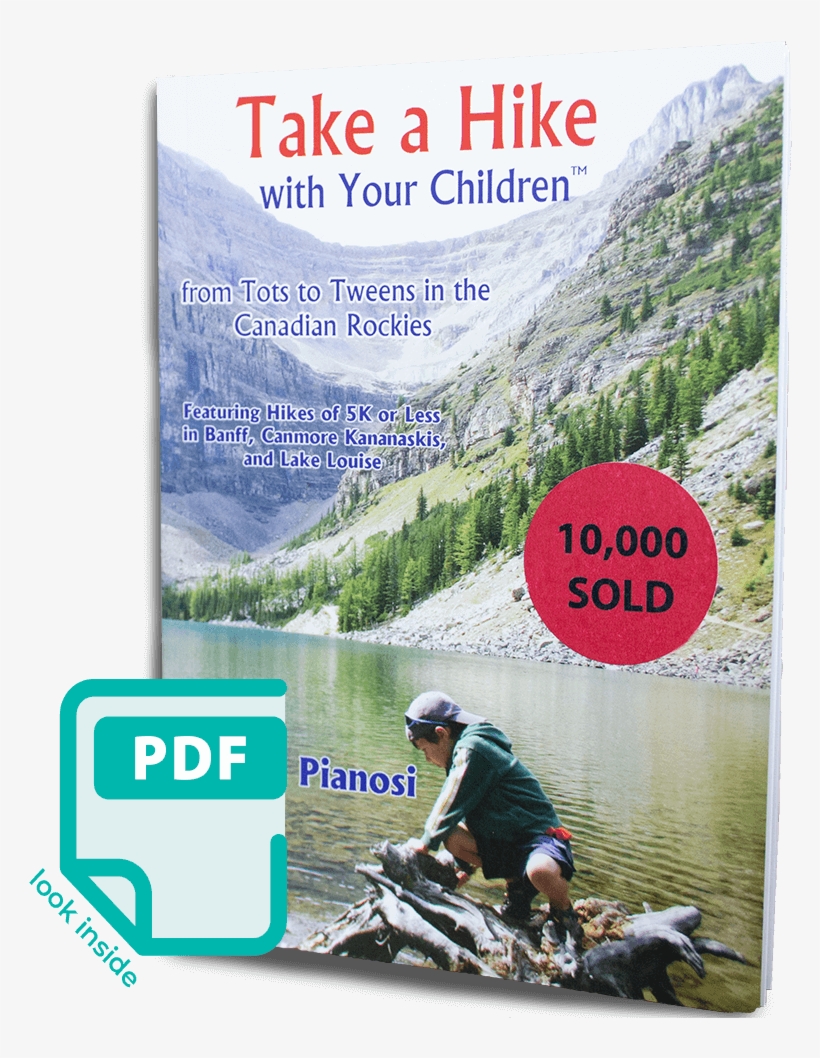 Take A Hike With Your Children A Guidebook For Family - Lake Agnes, transparent png #9396332