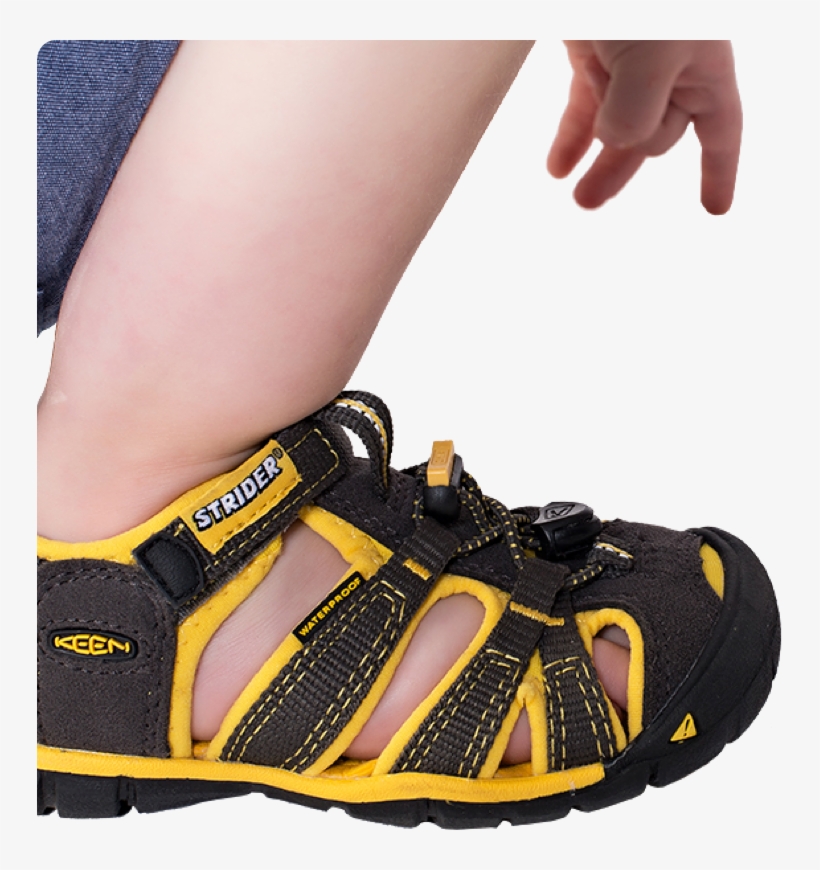 Footwear, transparent png #9396354