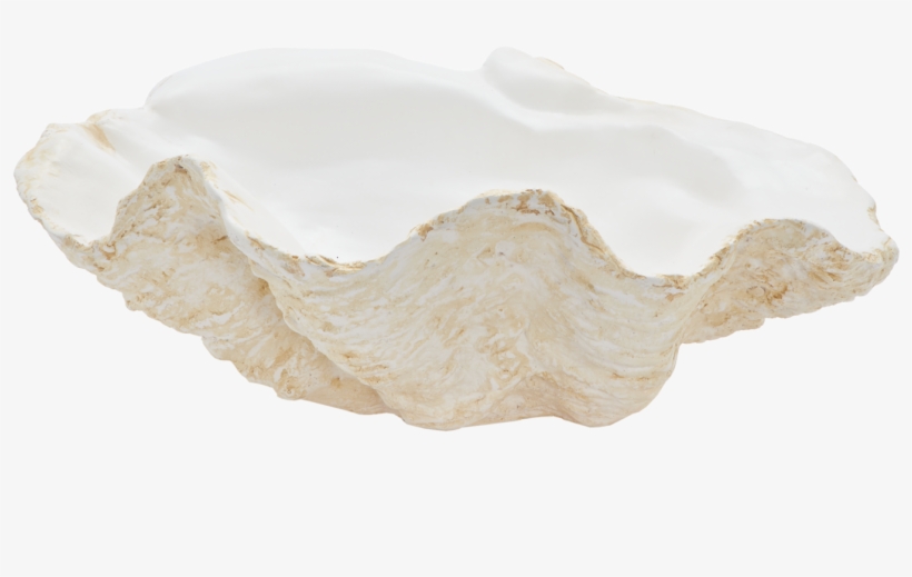 Giant Ceramic Clam Shell - Bathroom Sink, transparent png #9397935