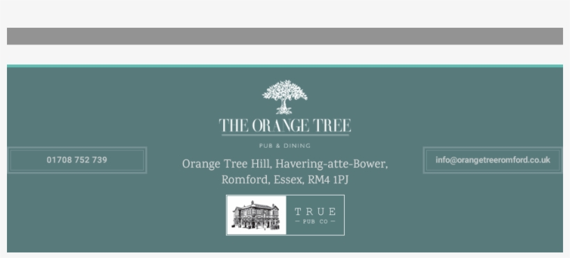 Thanks For Visiting Orange Tree - Graphic Design, transparent png #9399292
