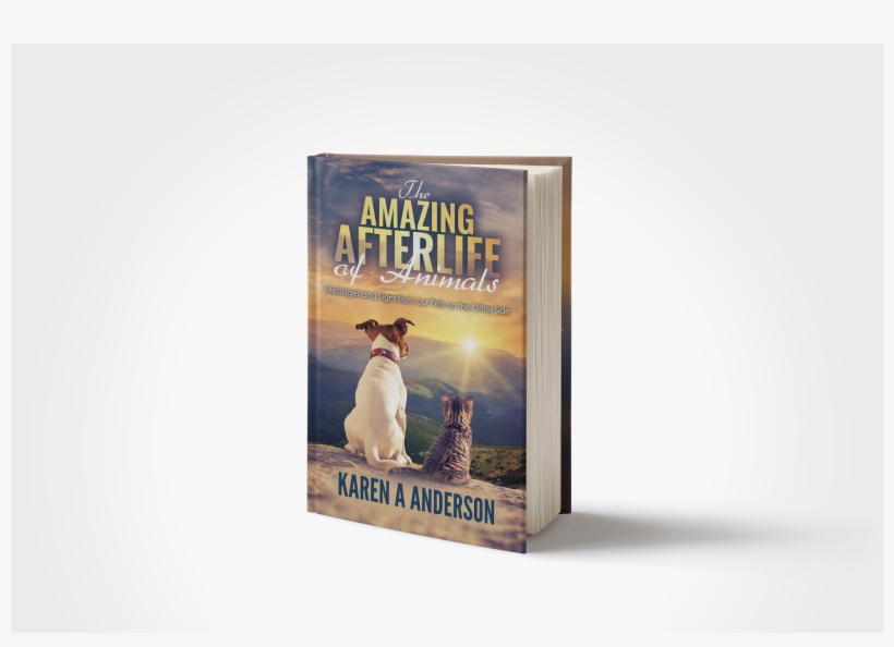 A Bestseller On Amazon And Radio Show With Host Jim - Flyer, transparent png #9399404