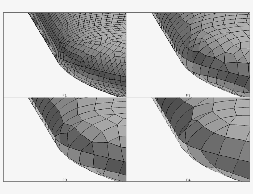 Close-up Views Of The Dpw 3 Wing Surface Mesh, Tip - Clockwise, transparent png #940007
