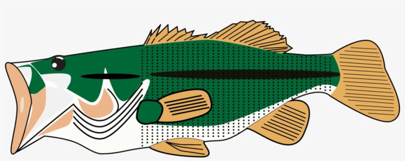 Fish Bass Fin Download Sea - Portable Network Graphics, transparent png #940184
