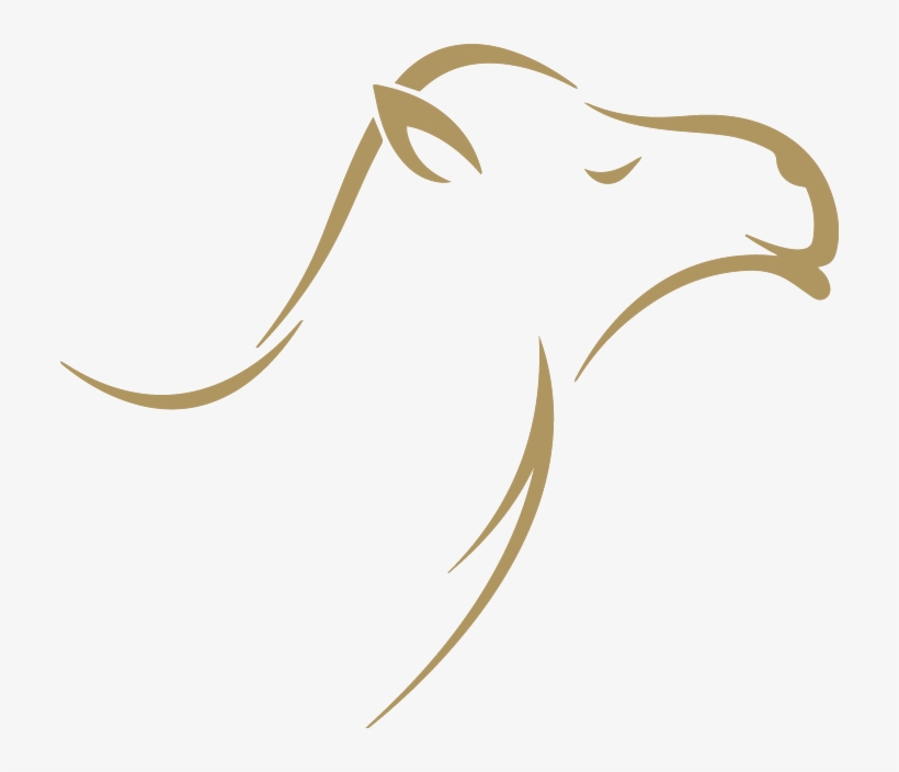 We Keep A Close Eye On Our Camels And Have A Strict - Camel Head Logo Png, transparent png #940685