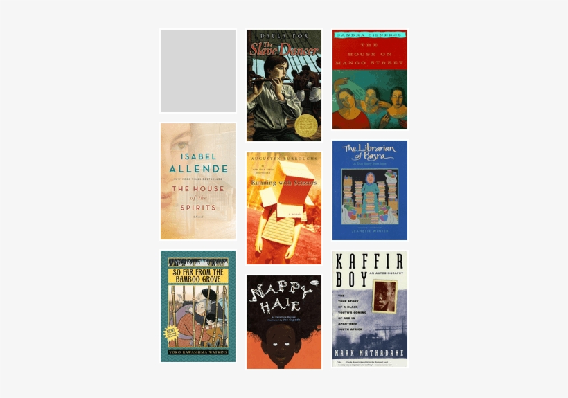 Banned And Challenged Books - Kaffir Boy - Class Set, transparent png #940837