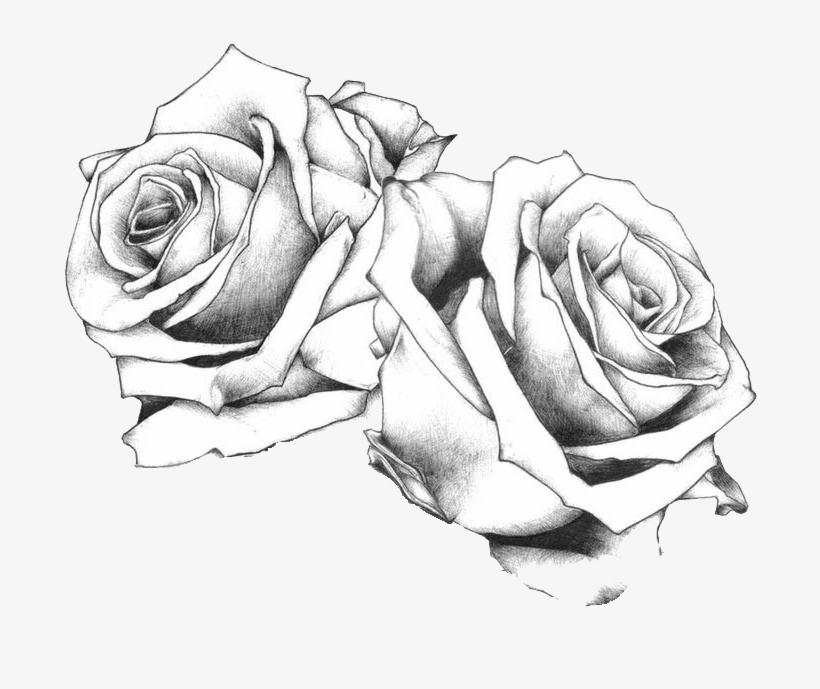 Tattoo Drawing Art Rose Flash - Bundle Of Roses Drawing, transparent png #941196