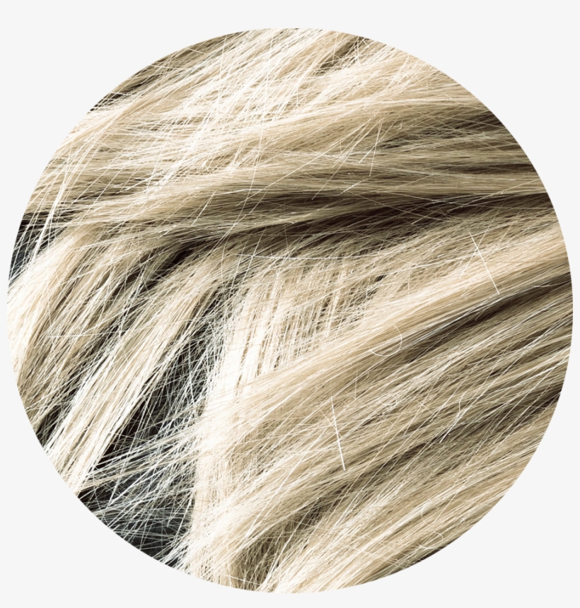 Ash Blonde - Blond, transparent png #941198