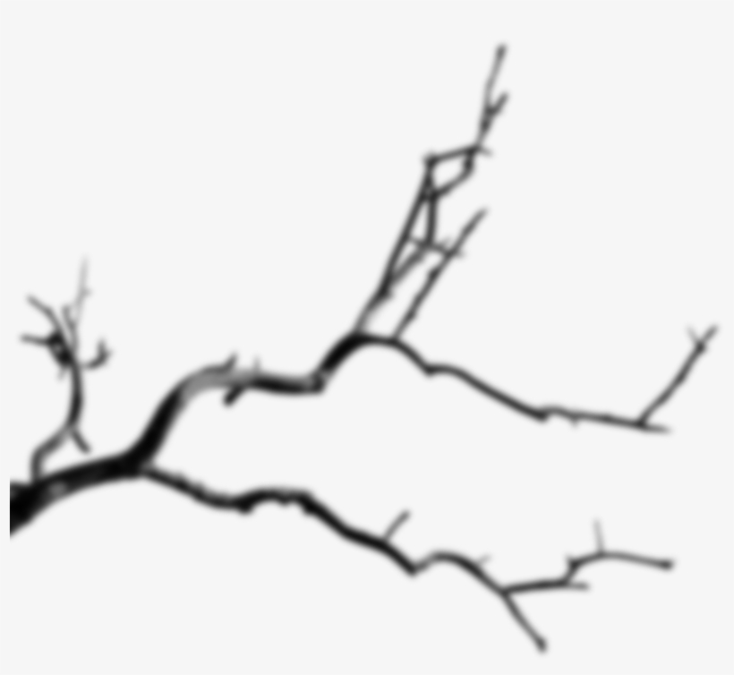 Arrow Branch - Branch, transparent png #941418