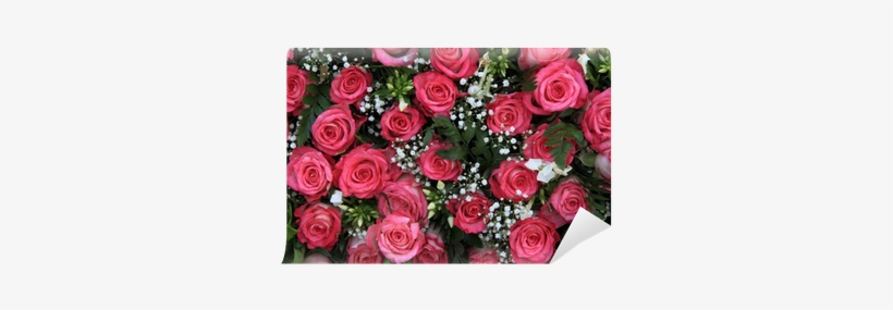 Pink Roses And Gypsophila Wall Mural • Pixers® • We - Baby's-breath, transparent png #941824