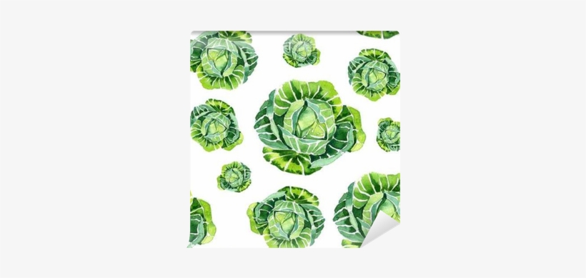 Watercolor Summer Insulated Cabbage Pattern Wall Mural - Illustration, transparent png #942380