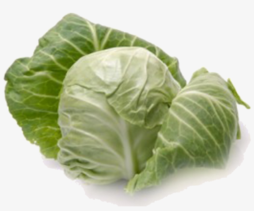 Cabbage Png - Cabbage Definition, transparent png #942385