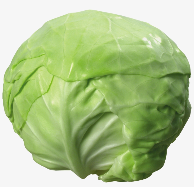 Cabbage Png, transparent png #942406