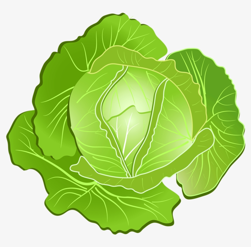 Repolho Scrapbook Images, Fruits And Vegetables, Views - Clip Art, transparent png #942488