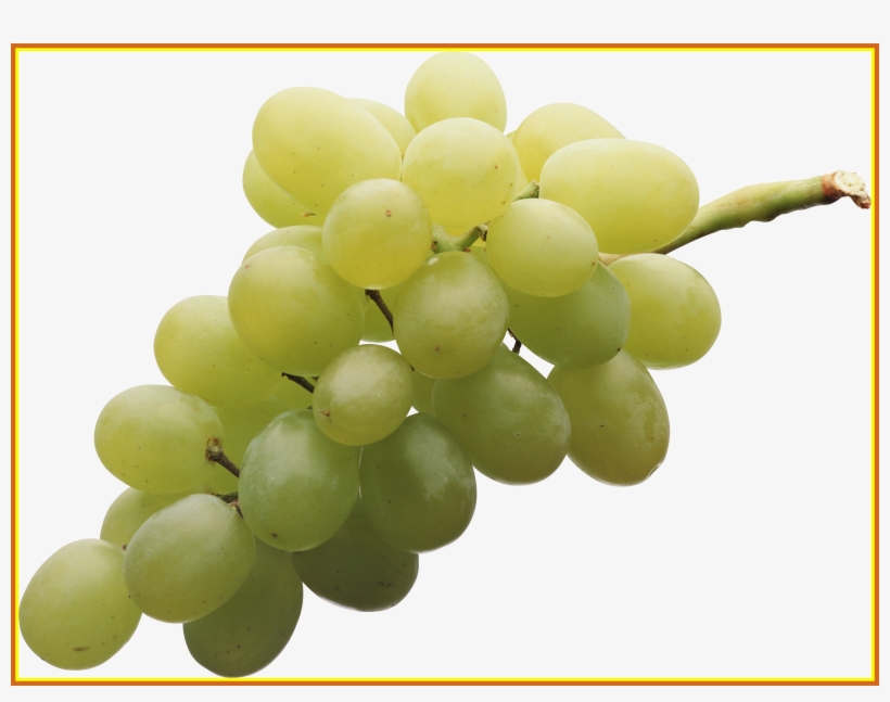 Incredible White Grape On Background Fleurs Pics Of, transparent png #942491