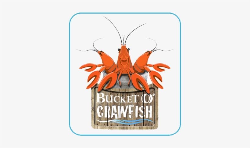 Crawfish Png, transparent png #942524