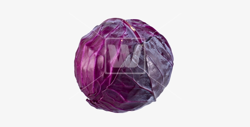Red Cabbage Png - Red Cabbage, transparent png #942607
